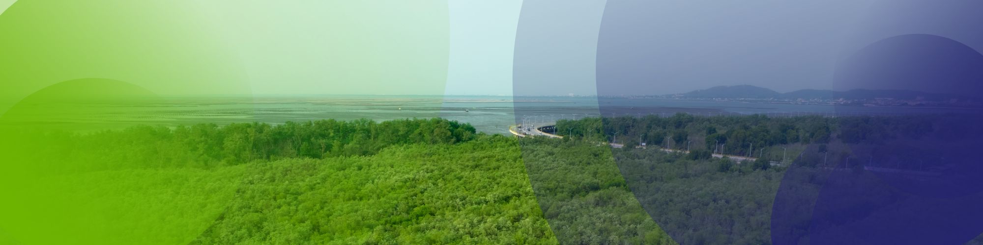 UK Treasury Proposes New Rules Requiring Major Firms to Demonstrate Climate Change Strategies for Net-Zero Transition