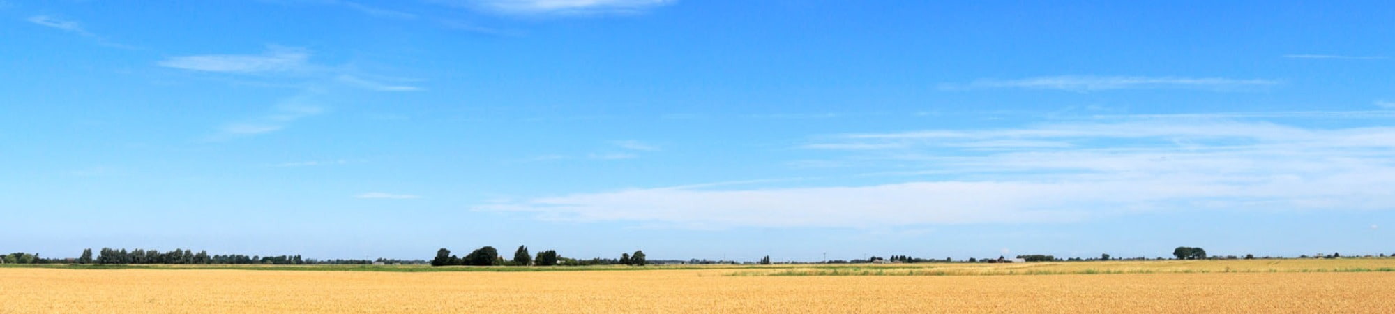 Fenland skyline