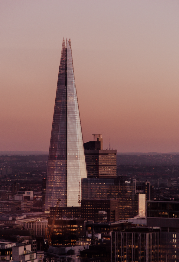 Partner hires - Professional services