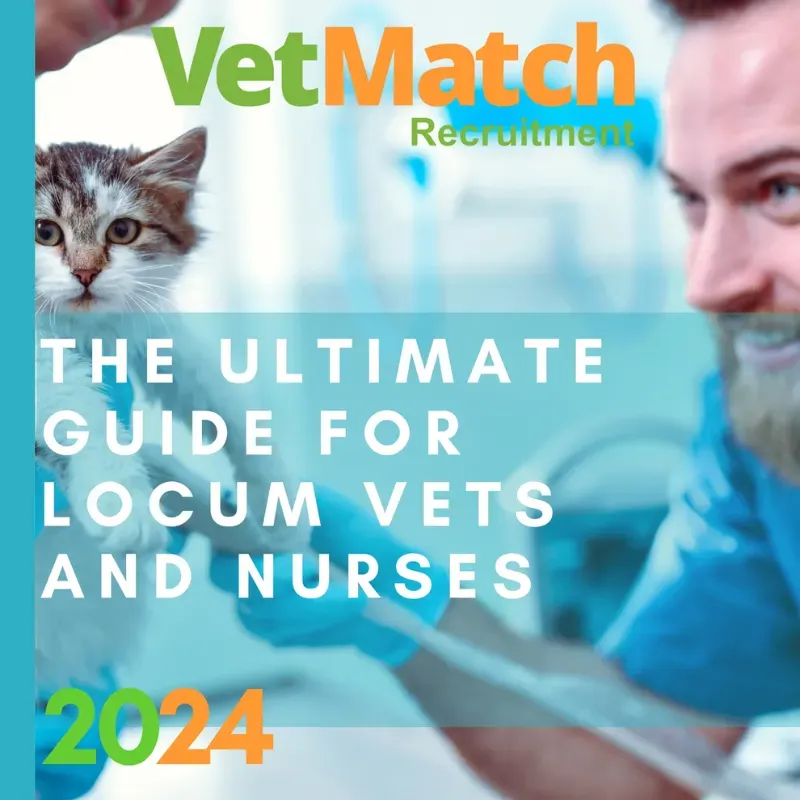 Locum Veterinary Jobs