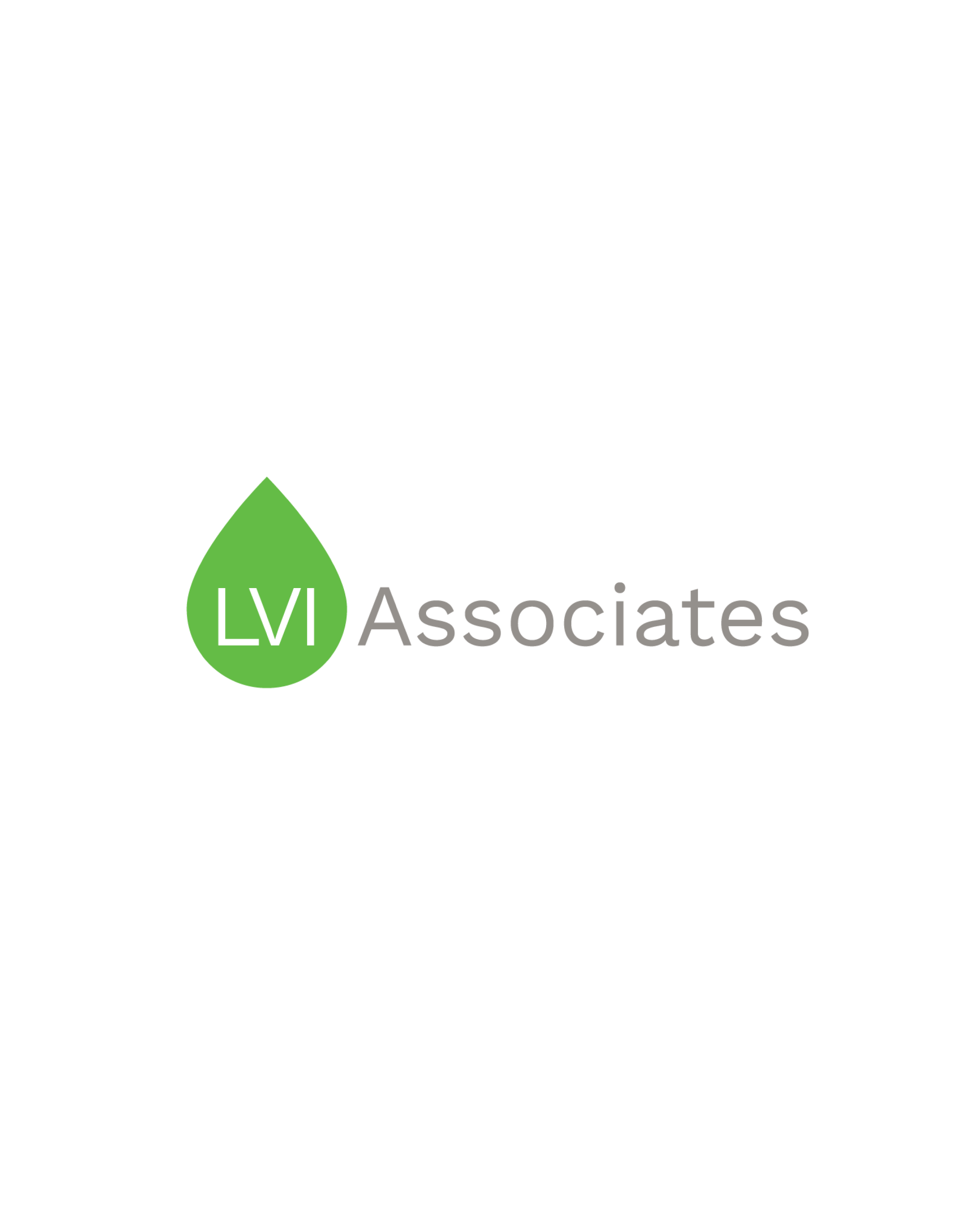 LVI Associates 