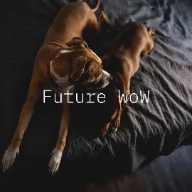 Francis & Francis | Future WoW