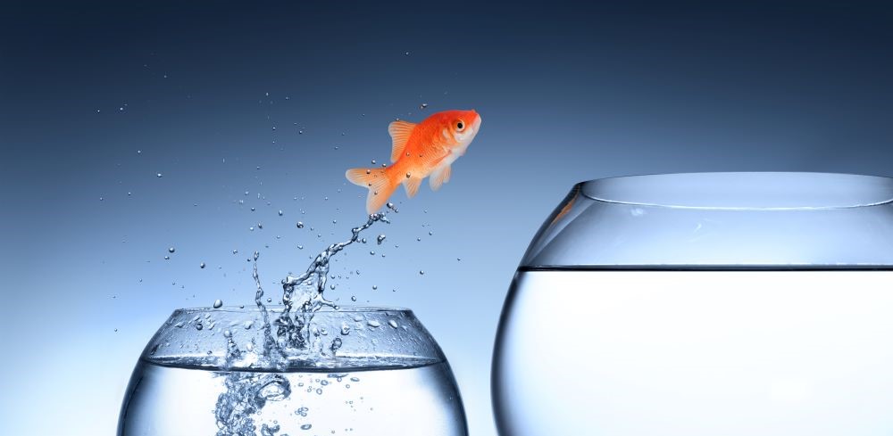 Why Think About a New Job When You Already Have One? image