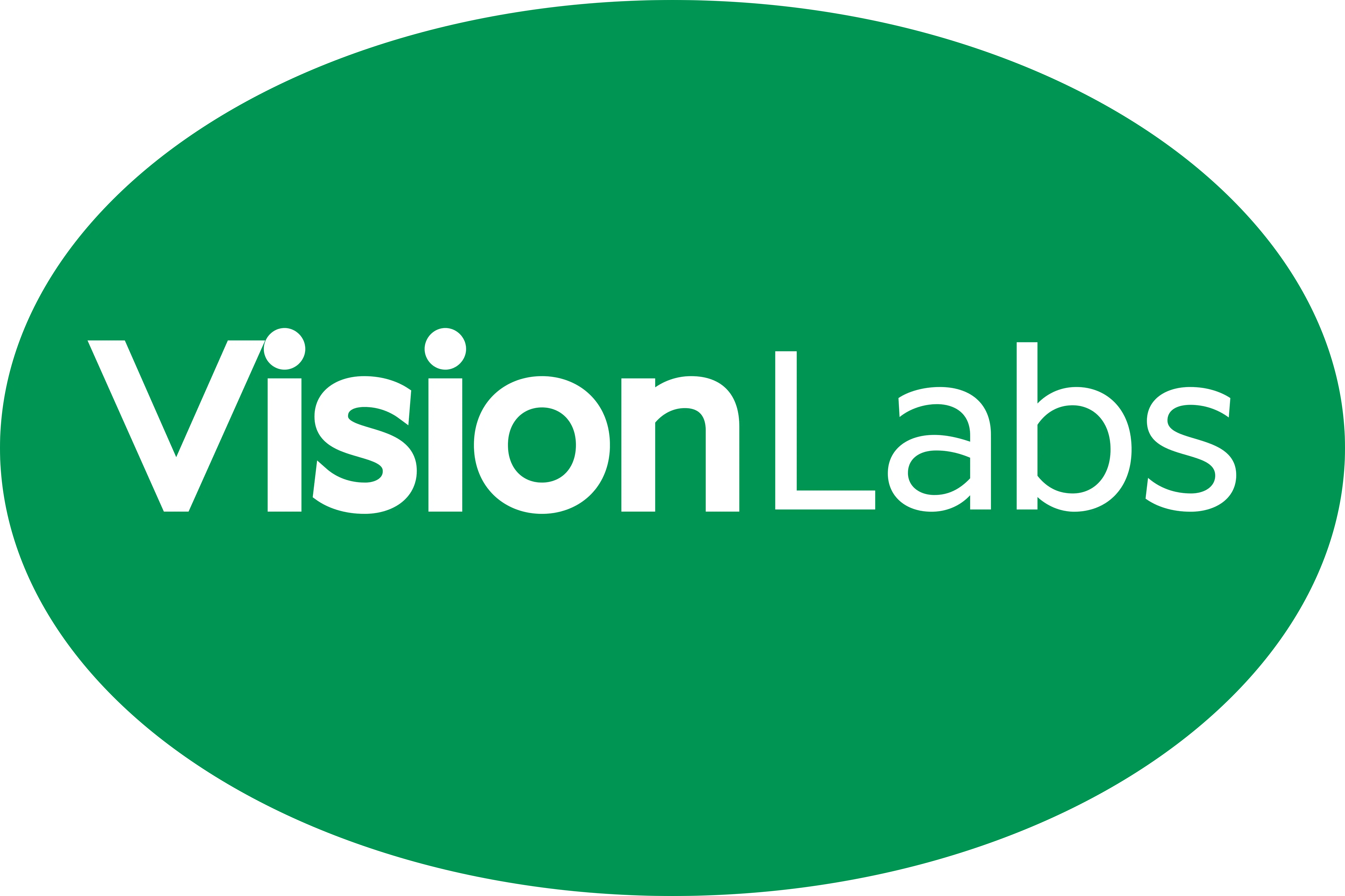 Vision Labs logo