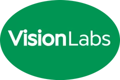 Vision Labs logo