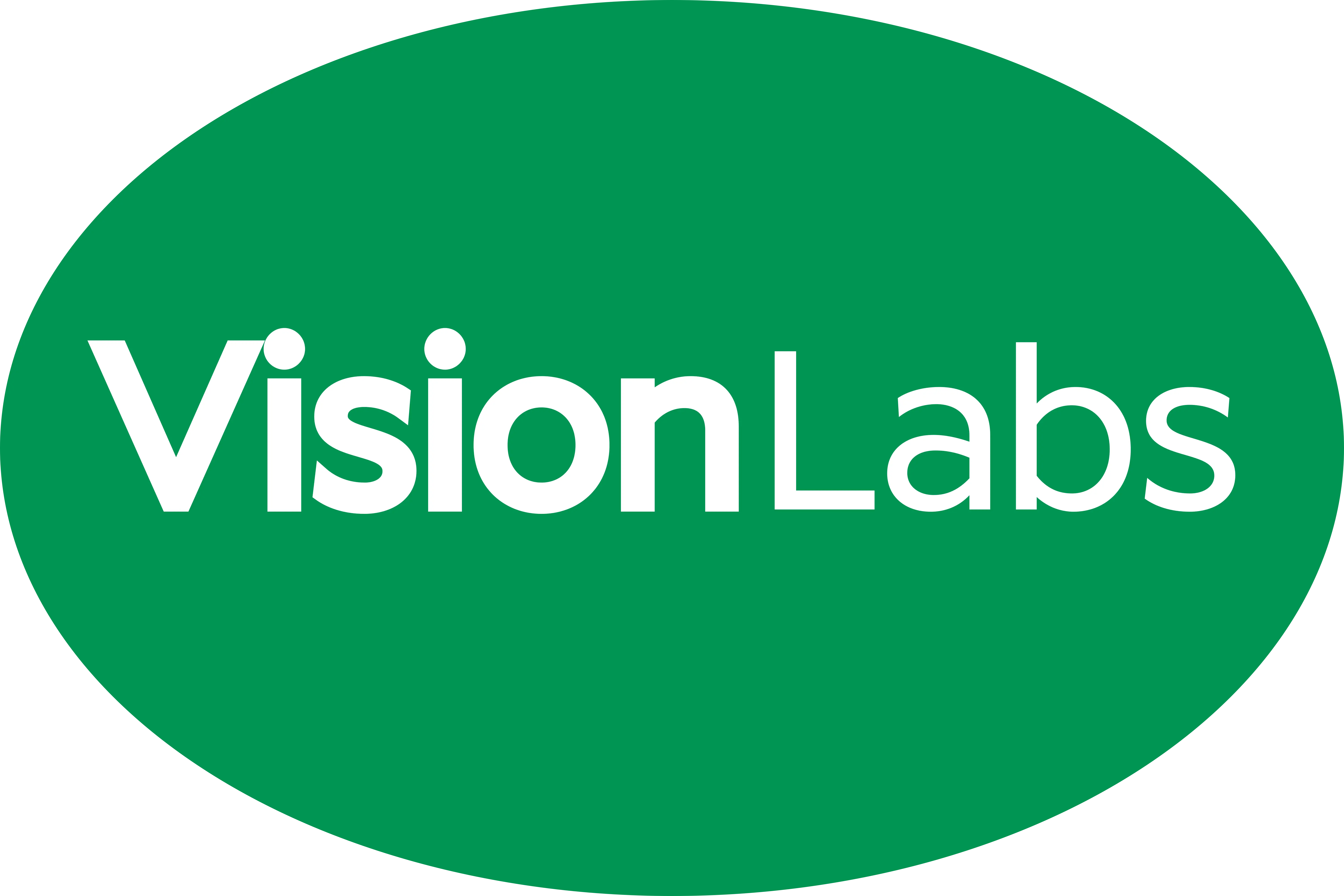 Vision Labs