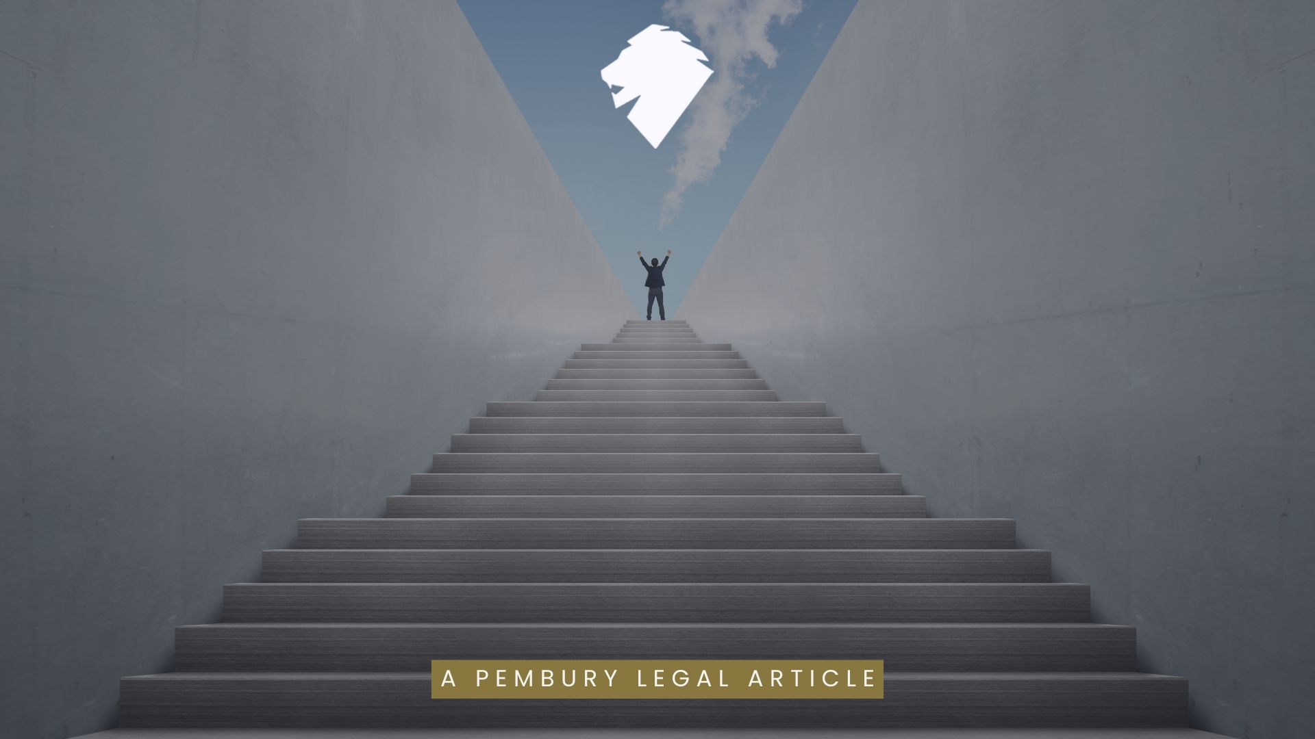 Copy Of From Analyst To Head Of Risk Mapping A Career In Legal Risk & Compliance