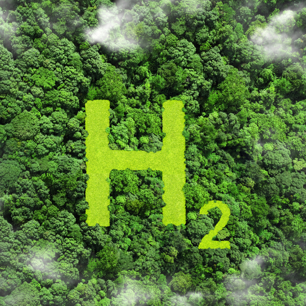 November's Newsletter - Awaiting first signs of green hydrogen lift-off