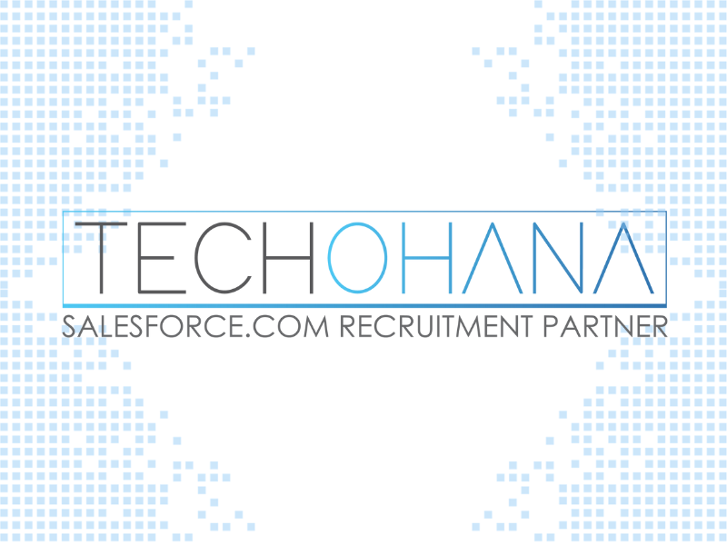Salesforce Entwickler