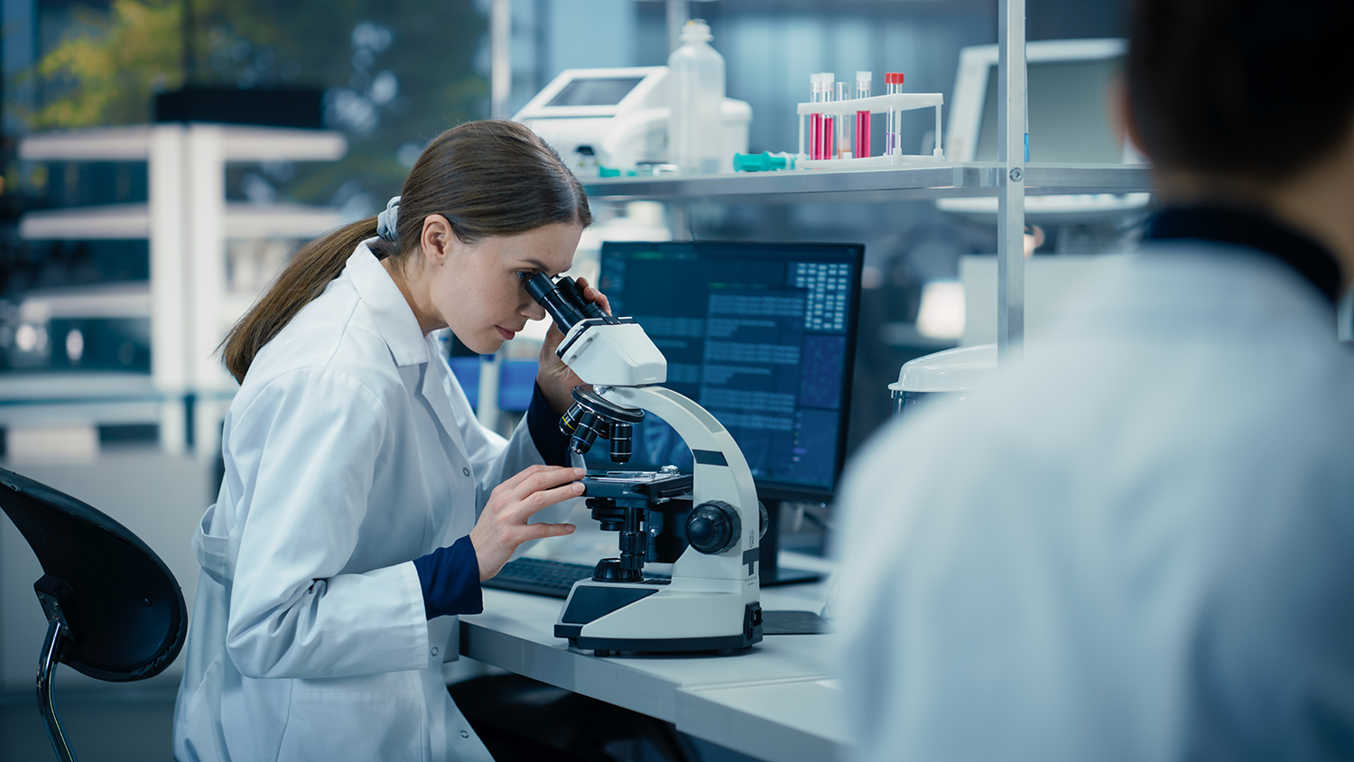 The Women of STEM