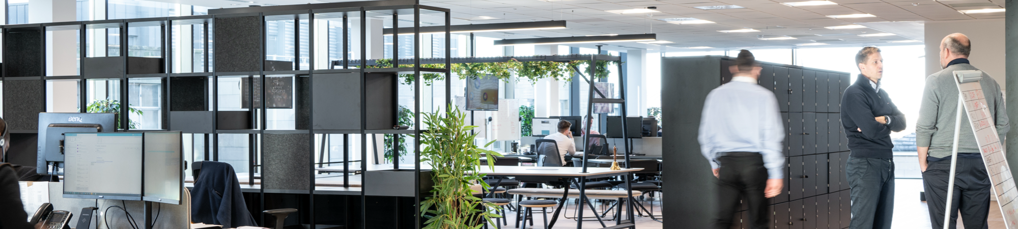 D R Newitt Edinburgh Office, featuring the main work area with employees, meeting spaces, desktop computers and foliage