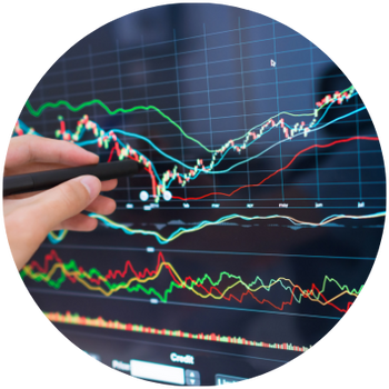 Investment Management