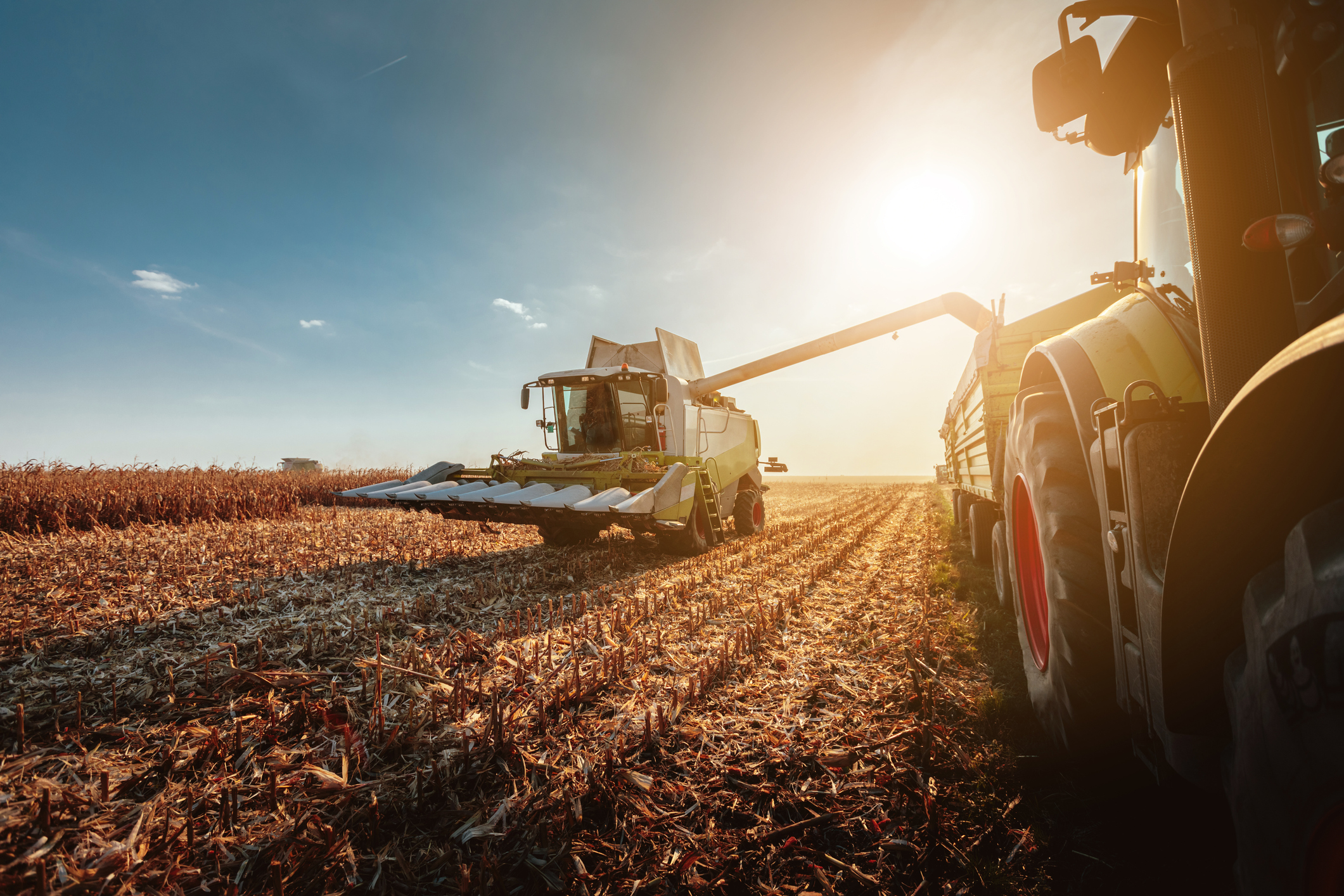 Tractors harvesting a field at sunrise