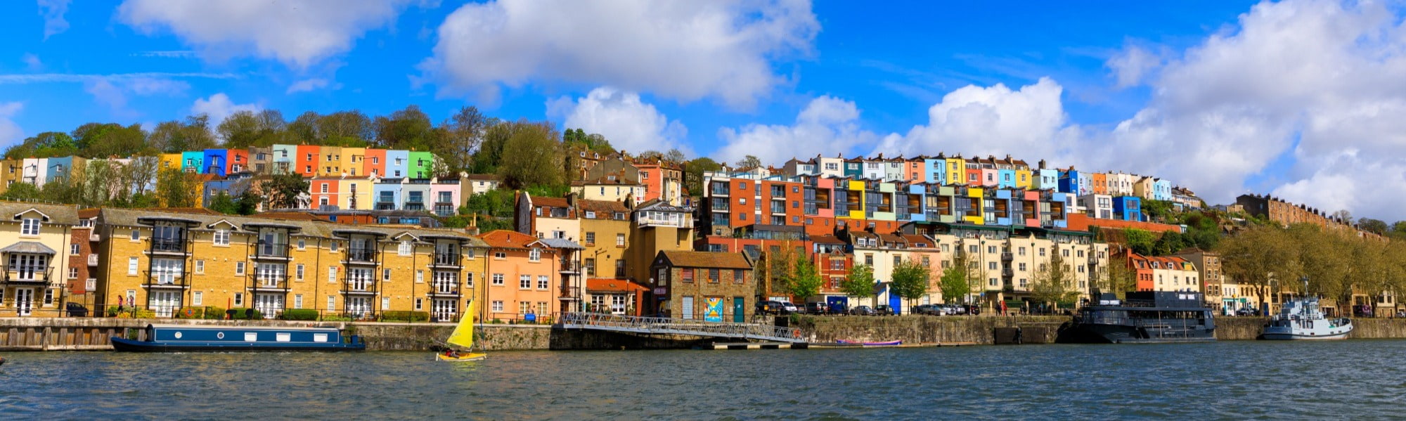 Veterinary Jobs in Bristol