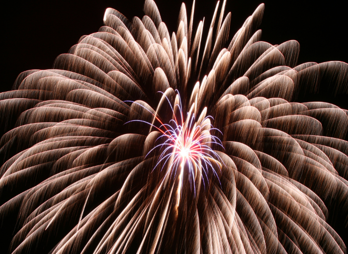pink exploding firework in a night sky