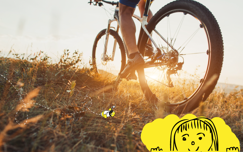 Sandy Success Blog Web 800x500