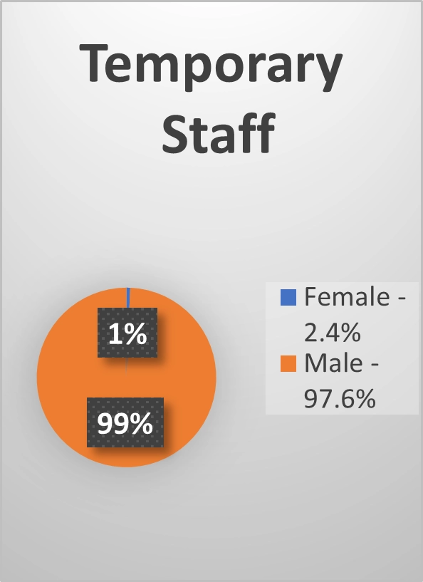 Temporary Staff breakdown graphic