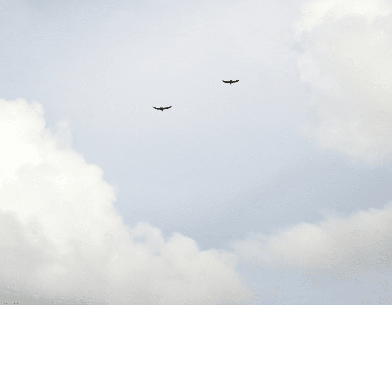 Banner Default Image