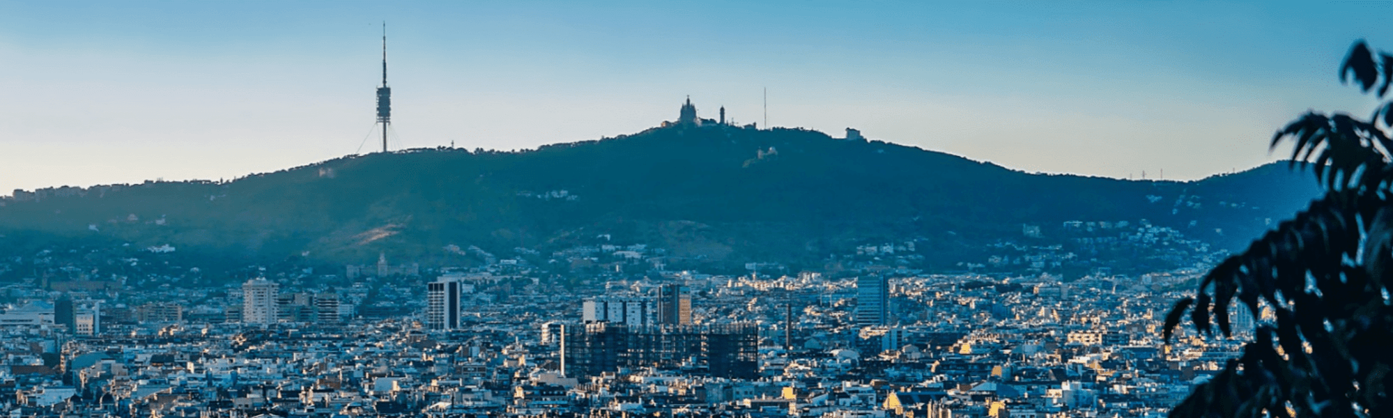 Image 2025 12 10 T09 57 10