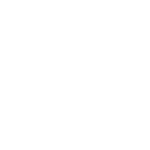 Employer of record service icon