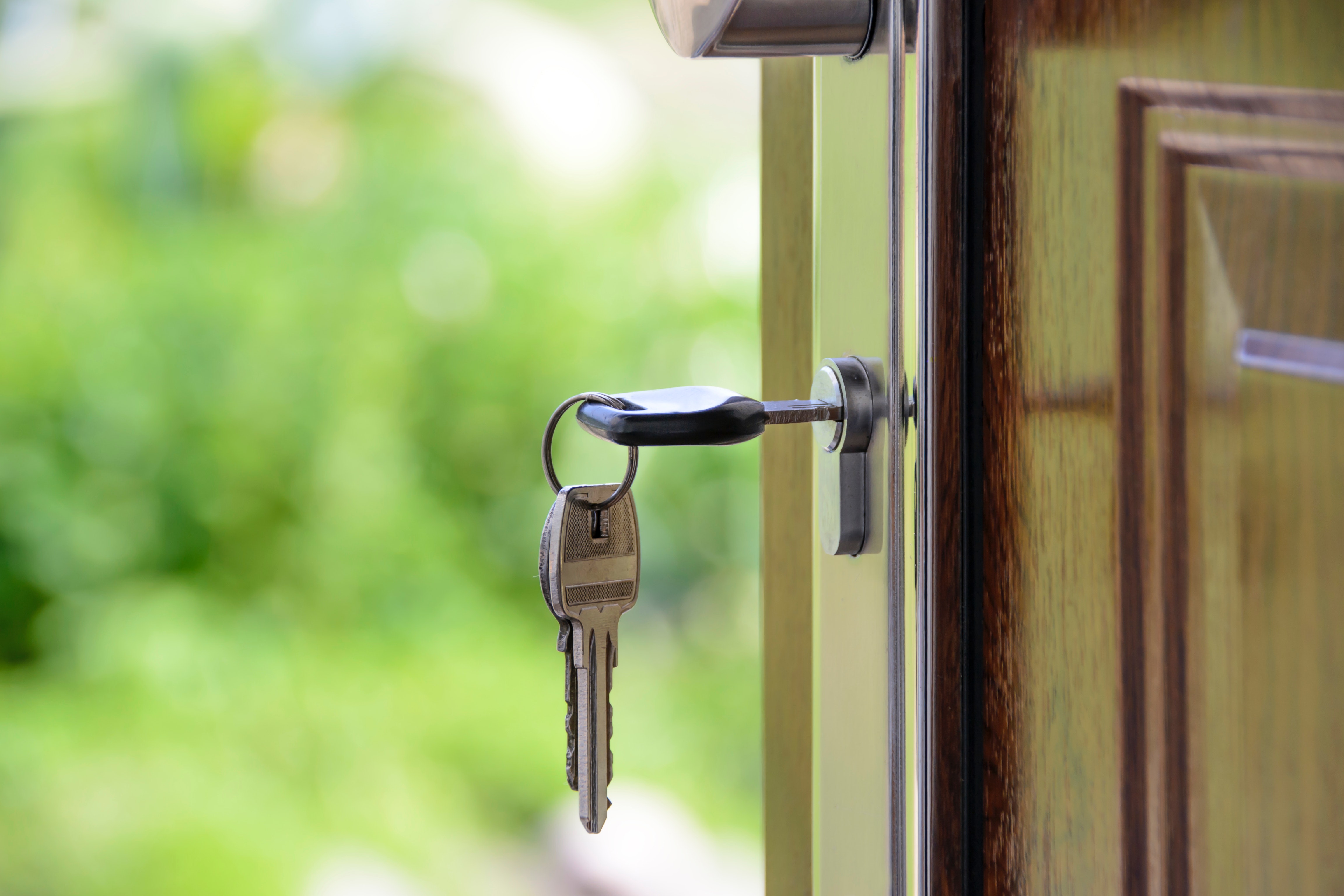 Lettings & Property Management