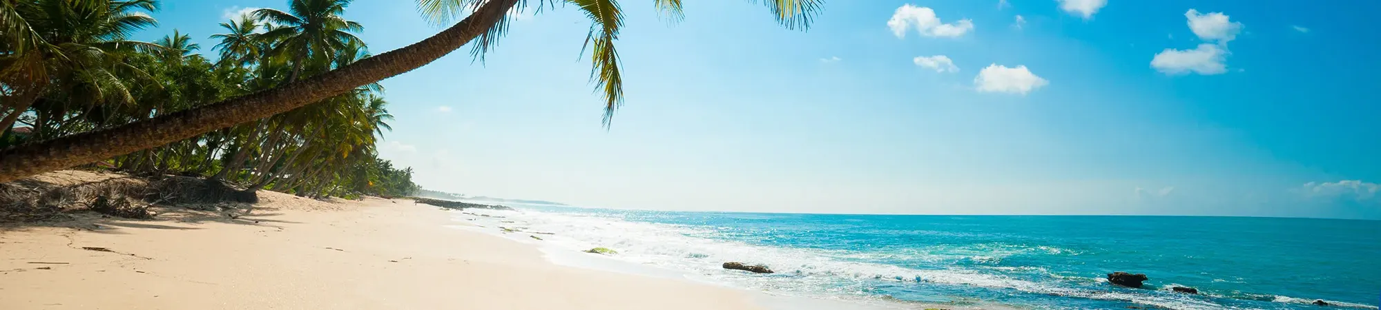 Banner Default Image