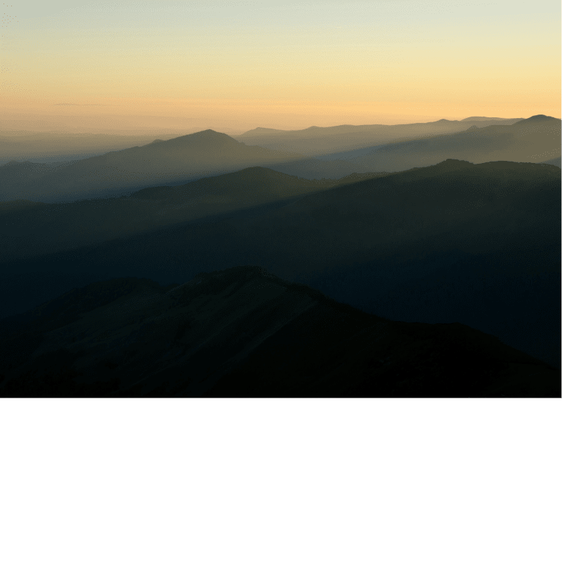 Image 2025 05 22 T10 19 54