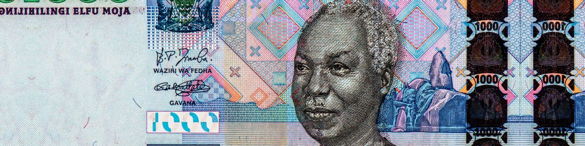 Julius Nyerere Banknote