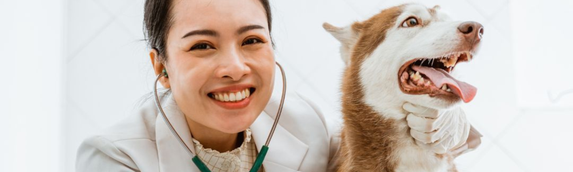 Management & Support Roles in Veterinary Practices 