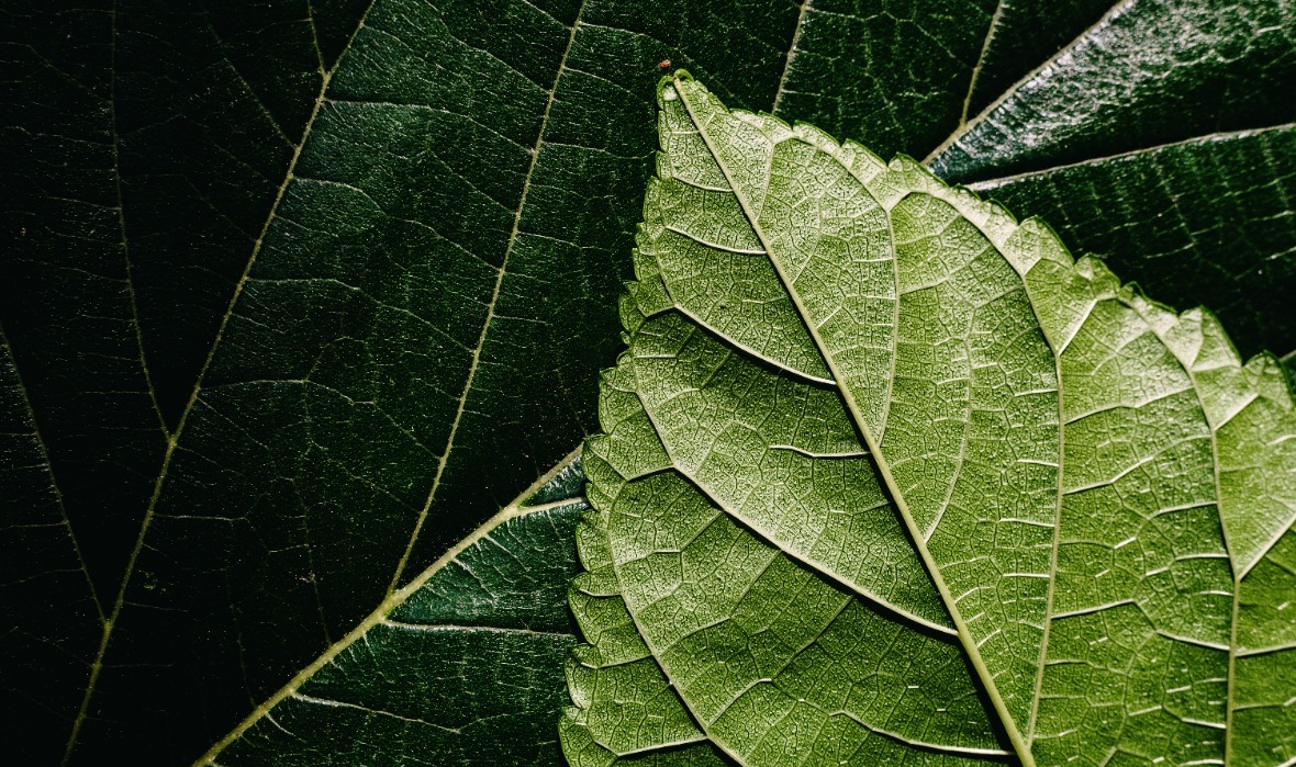 Image 2025 11 04 T06 20 54