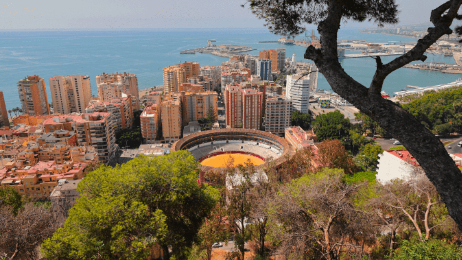 a picture of malaga 