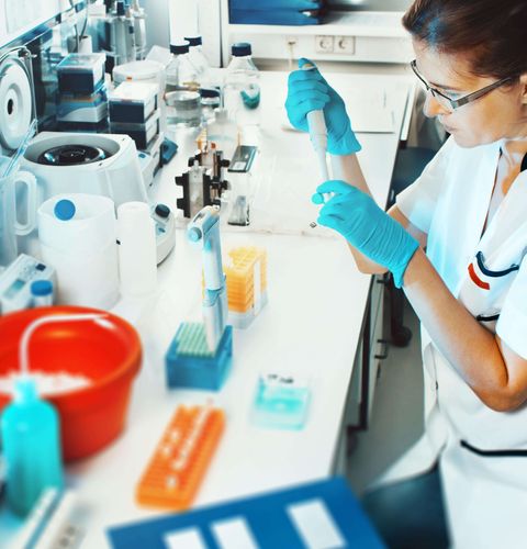 Download Our ‘Developing A Career In Quality Within Life Sciences’ White Paper