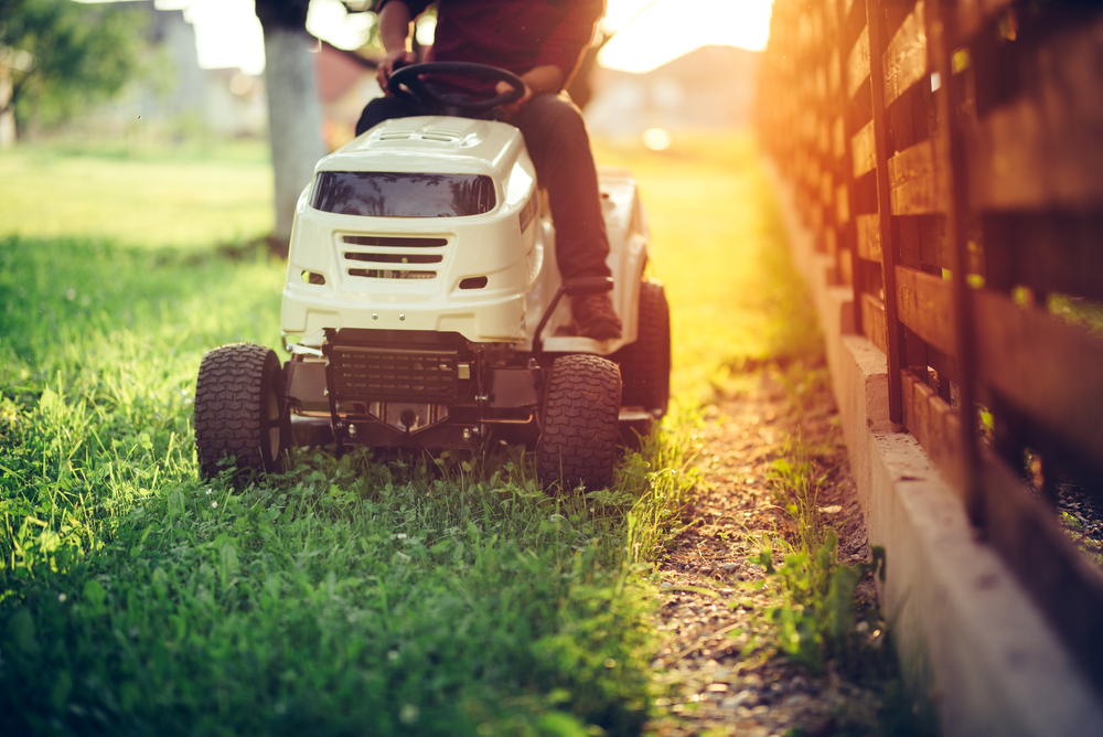 Gardeners   A Guide To Looking For Work