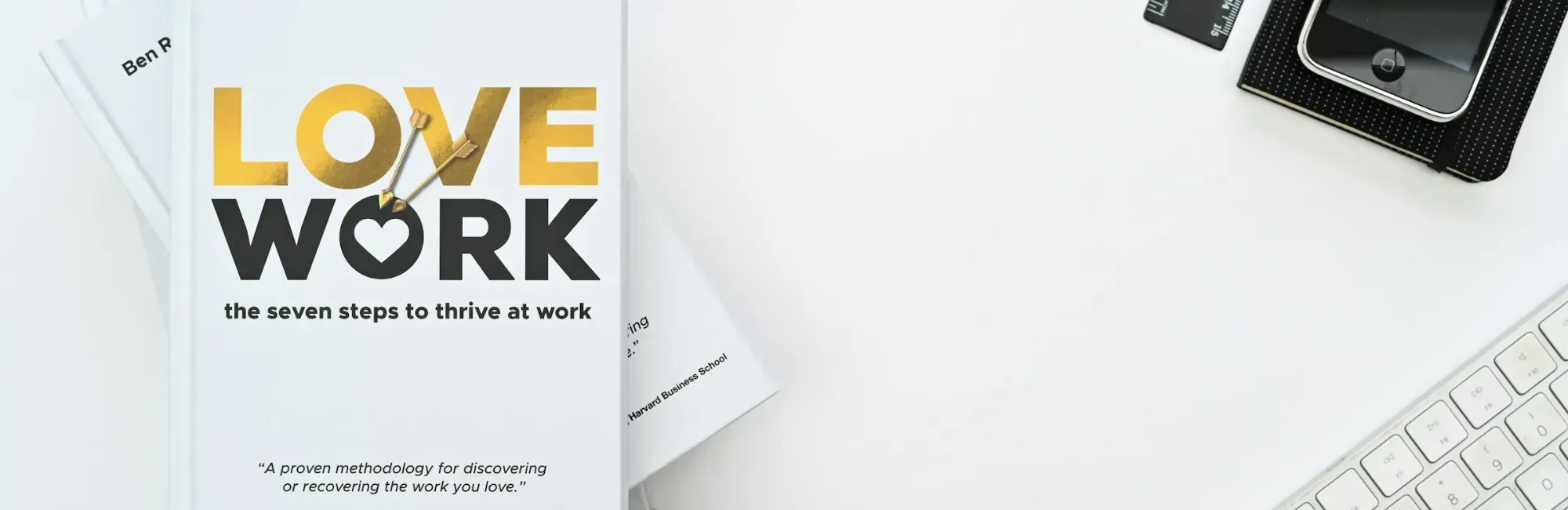 Book cover titled "Love Work," focusing on workplace promotion and professional growth themes.