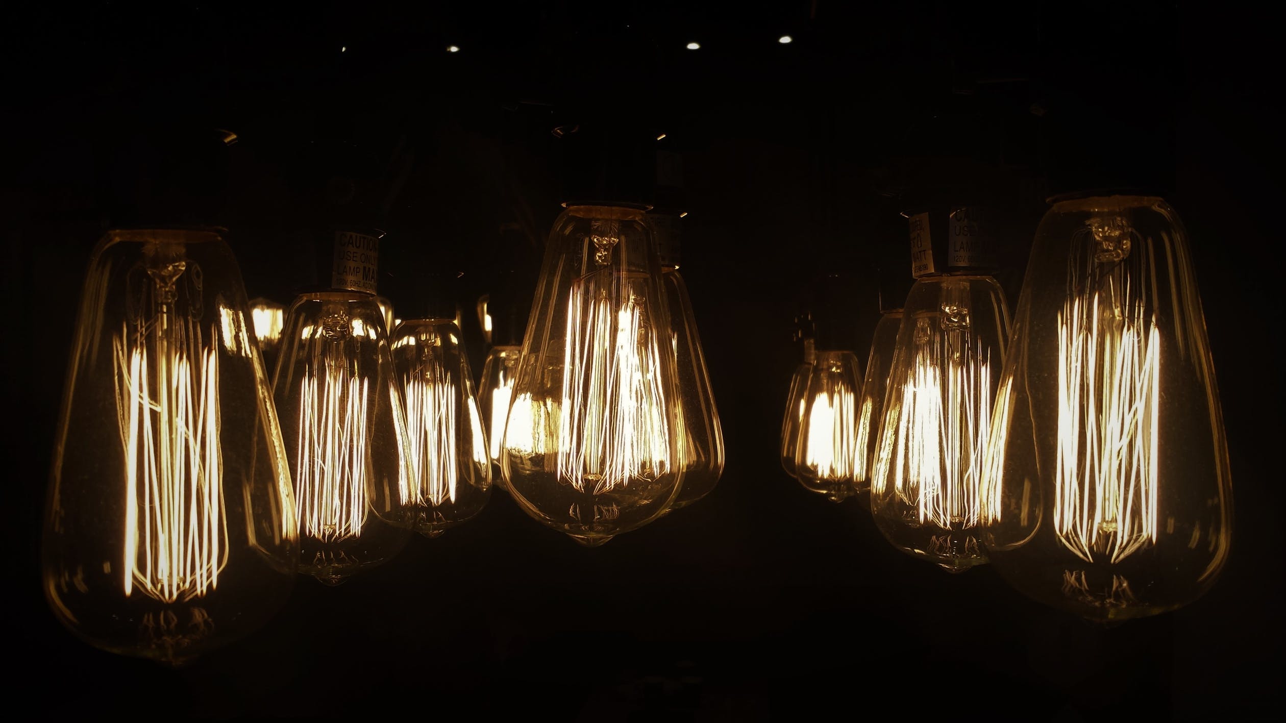 Bulbs