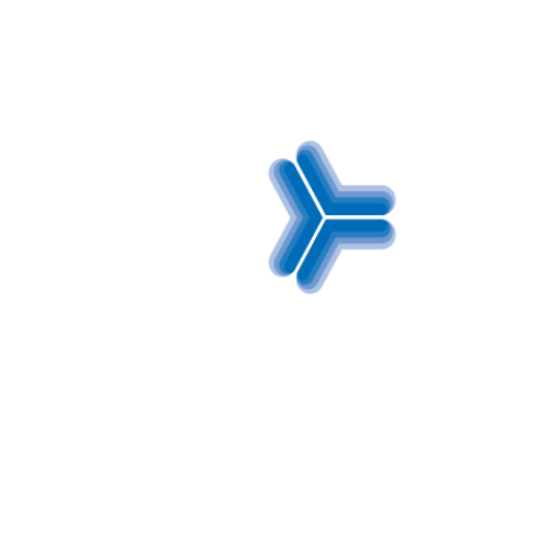Allen Lund logo