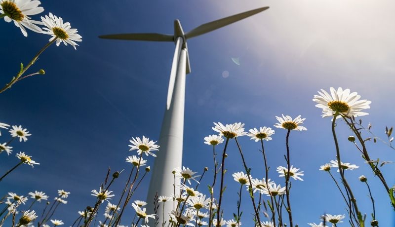 Relaxing Rules for England's Onshore Wind Farms: Growth for Renewable Energy Recruitment Image