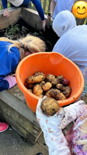 Children planting potatoes at Hill Primary School Gardening Club