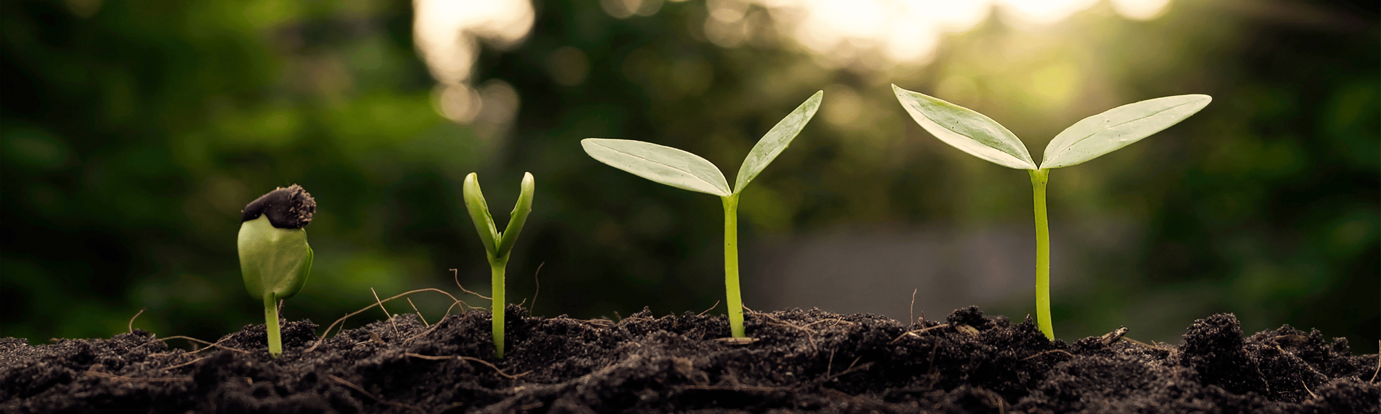 Renewed mindset and fresh aspirations - What Is One Skill You Want To Learn In 2026