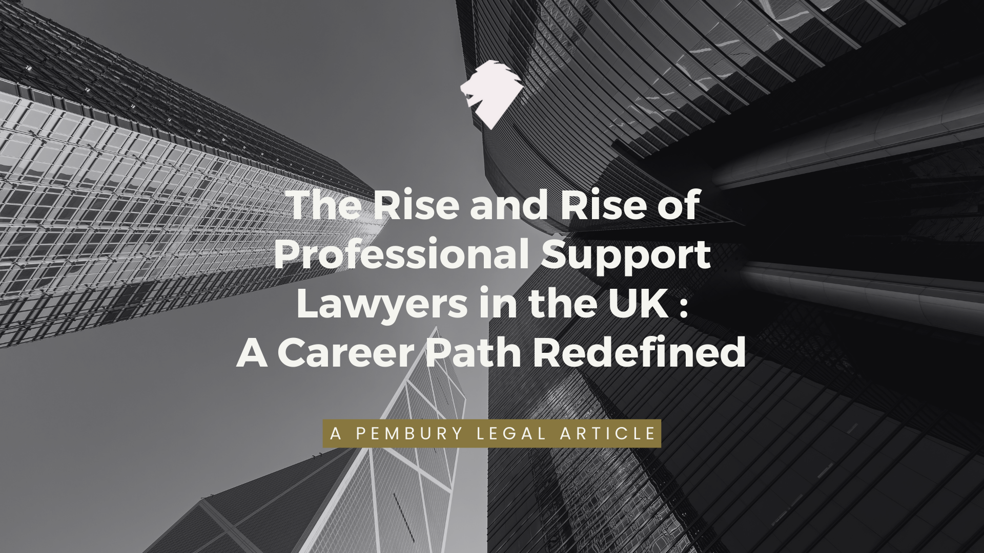 The Rise And Rise Of Professional Support Lawyers In The Uk A Career Path Redefined