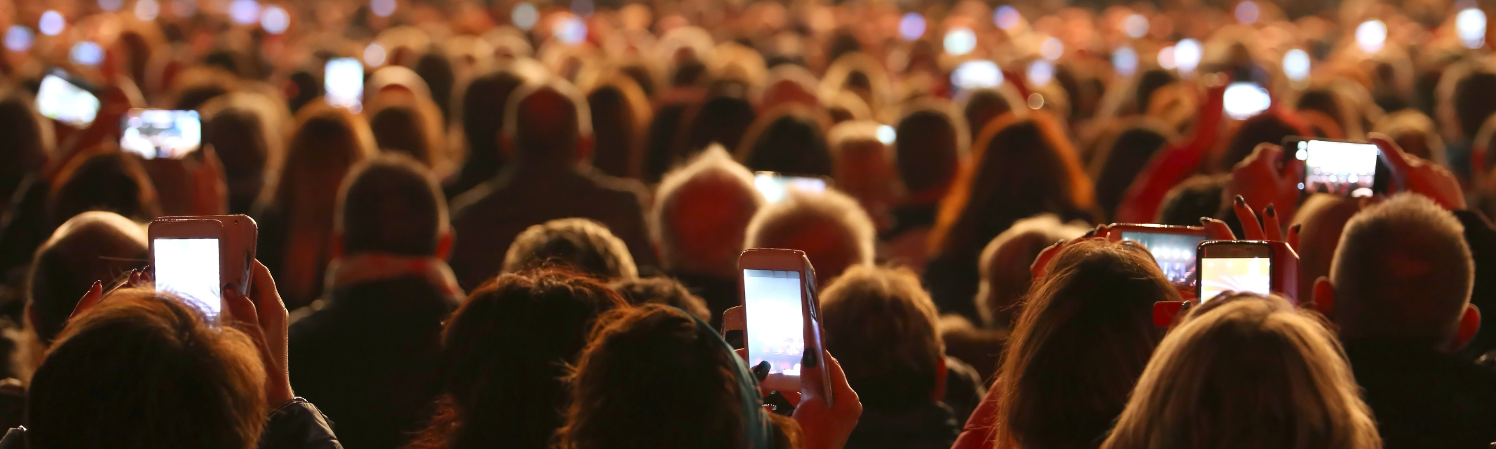 Crowd 2000x600
