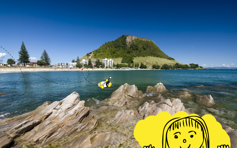 Beyond Blogs A Closer Look At Tauranga’s Burgeoning Tech Sector Ft