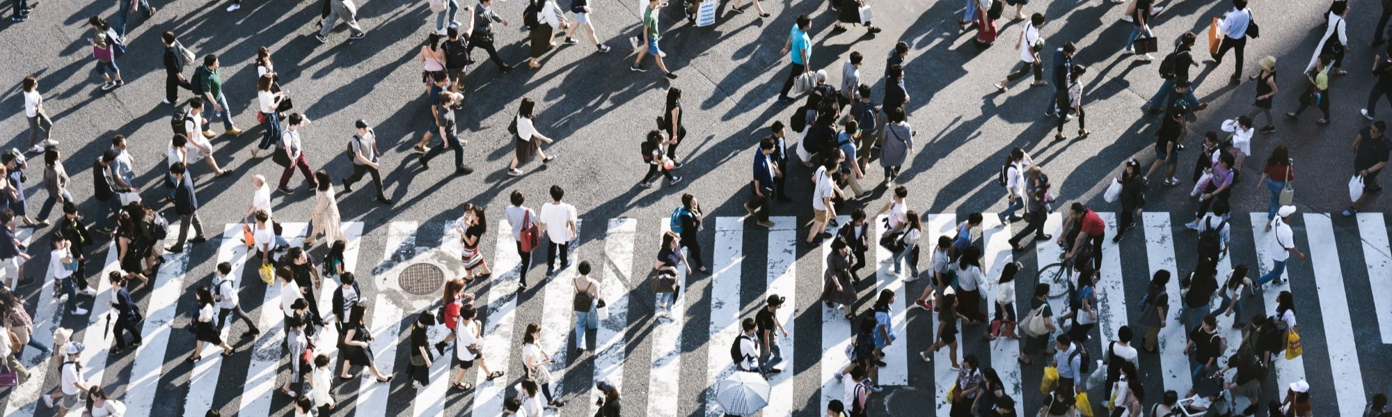 People crossing a busy zebra crossing in the city centre