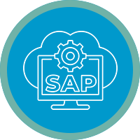 SAP Business One Consultant 
