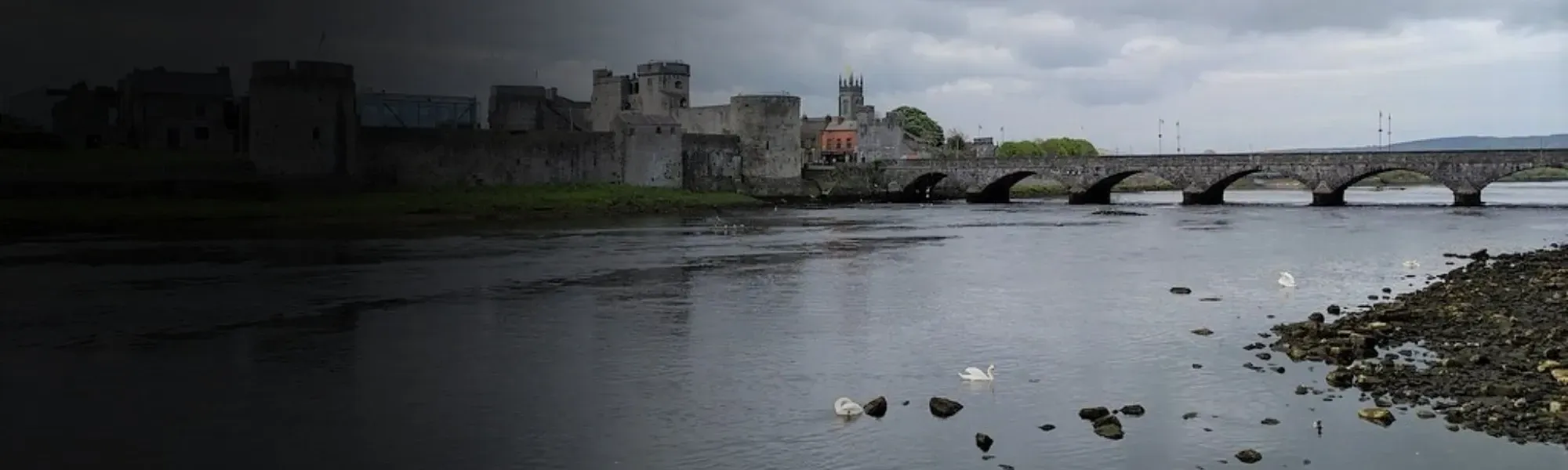 Choose Limerick Banner