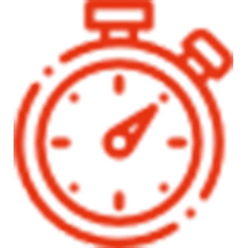 Speed icon