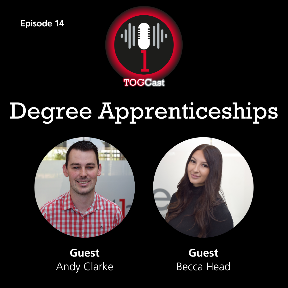 degree apprenticeships