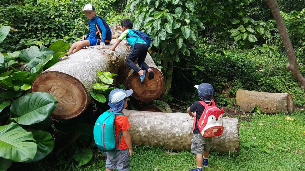 Forest School