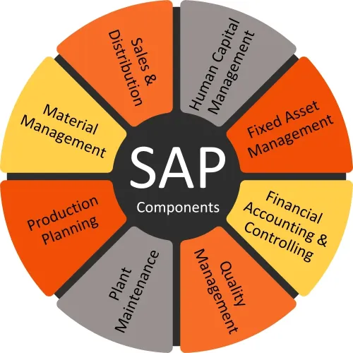 SAP Components - Sales & Distribution, Material Management, Production Planning, Plant Maintenance, Quality Management, Financial Accounting & Controlling, Fixed Asset Management, Human Capital Management