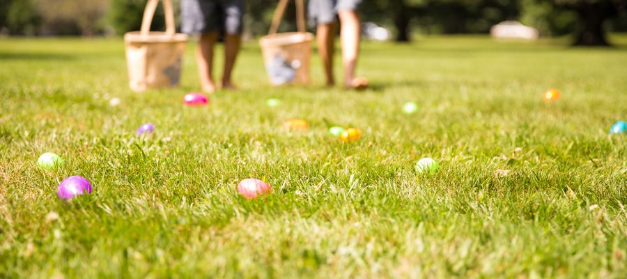 How To Organise An Easter Egg Hunt